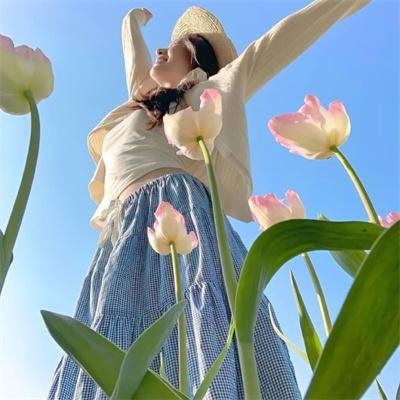 胡狼来了