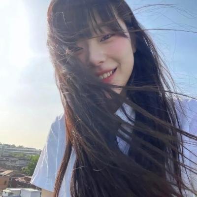 海豚奇迹